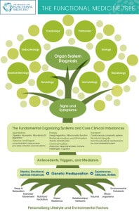 IFM Tree Graphic